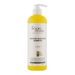ECLORE STUDIO PROTEIN INJECTION SHAMPOO (500ml), Восстанавливающий шампунь для волос (500мл)