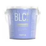 TEFIA, Обесцвечивающий порошок Mypoint Bleach, 500 гр