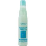 SALERM, Шампунь успокаивающий Dermocalmante Shampoo, 250 мл