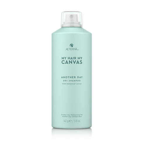 Алтерна Сухой шампунь для волос Another Day Vegan Dry Shampoo, 142 г (Alterna, My Hair My Canvas)